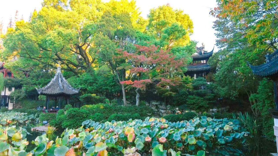 岸边柳丝轻